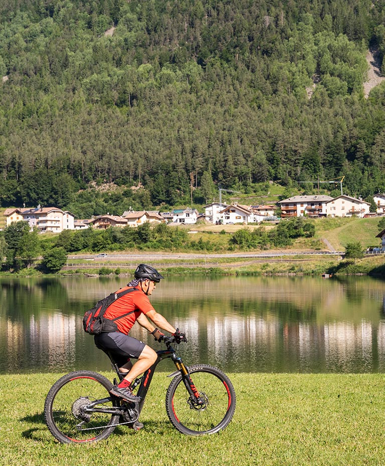 Mountain bike